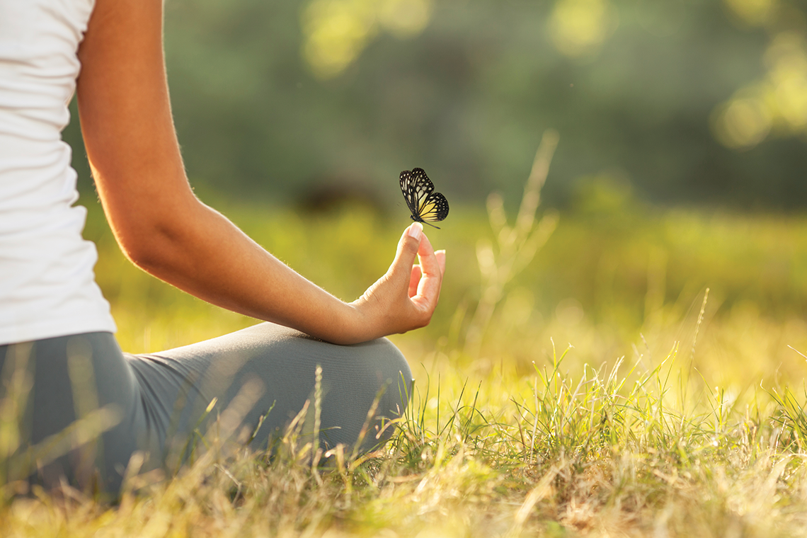 Harmony between Mind, Body and Soul for Holistic Wellbeing – Life & Pursuits